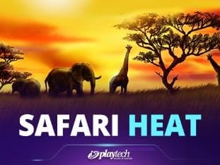 Safari Heat game cover